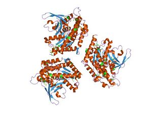 PDB 1oxw EBI.jpg
