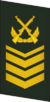 PLAGF-Collar-0709-1CSGT.png