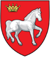 Actual Iasi county CoA.png