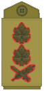 OF8 IDF Rav-Aluf.gif