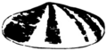 1900–04