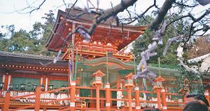 KasugaTaisha1.jpg