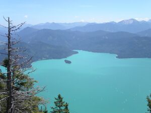 Walchensee-Teilausschnitt.jpg