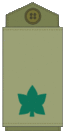 OF3 IDF Rav-Seren.gif