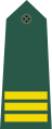 上尉 (Shàngwèi) Taiwanese army