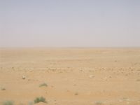 سوريا و السعودية و العراق و الأردن (بادية الشام)