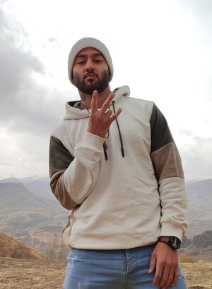 Toomaj Salehi.jpg