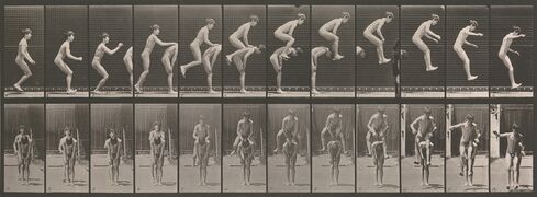 Original collotype