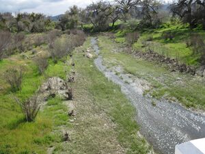 Little-cholame-creek.jpg