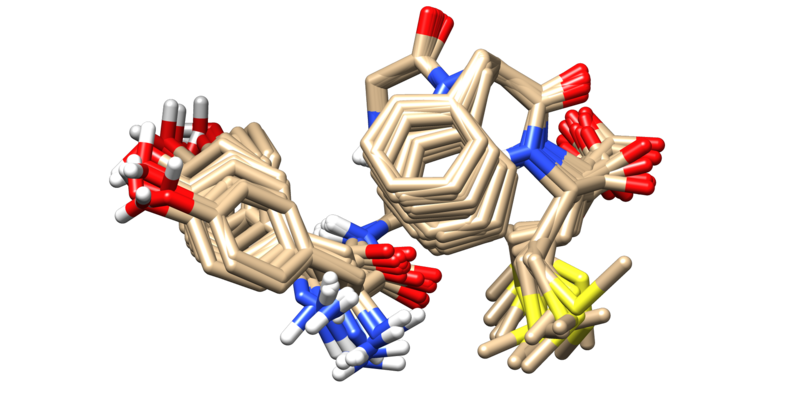 ملف:POMC prot.png