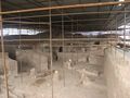 A view of the structure which protects the Shadiyakh excavations