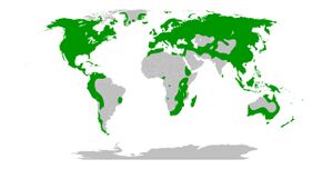 Fagales Map.jpg