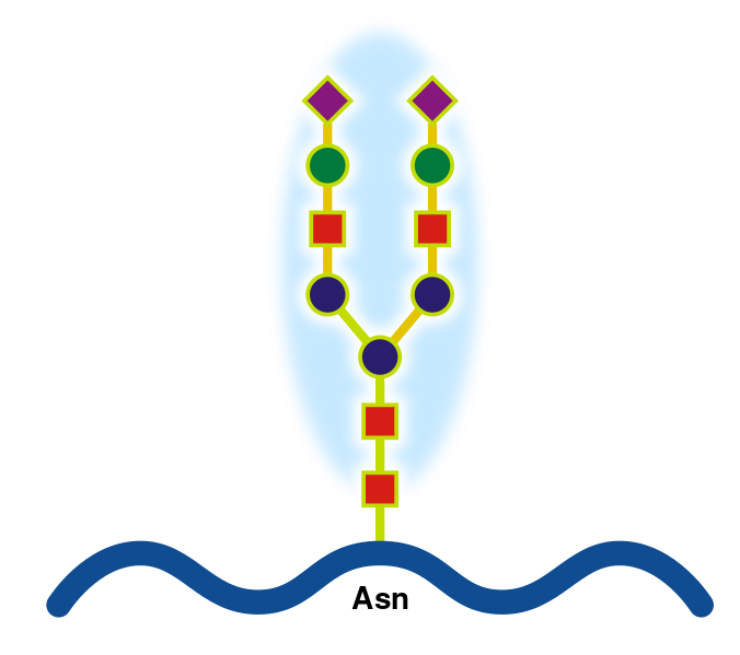 ملف:Glicoprotein.svg