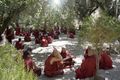 Monks at Sera