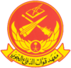 معهد قوات الدفاع الجوي