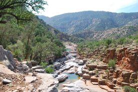 Paradise valley.JPG