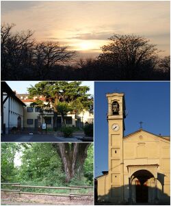 Bellezze di Assago.jpg