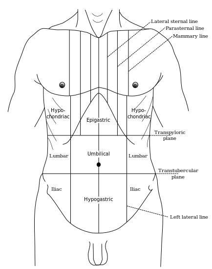 ملف:Gray1220.svg