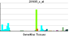 PBB GE NP 201695 s at tn.png