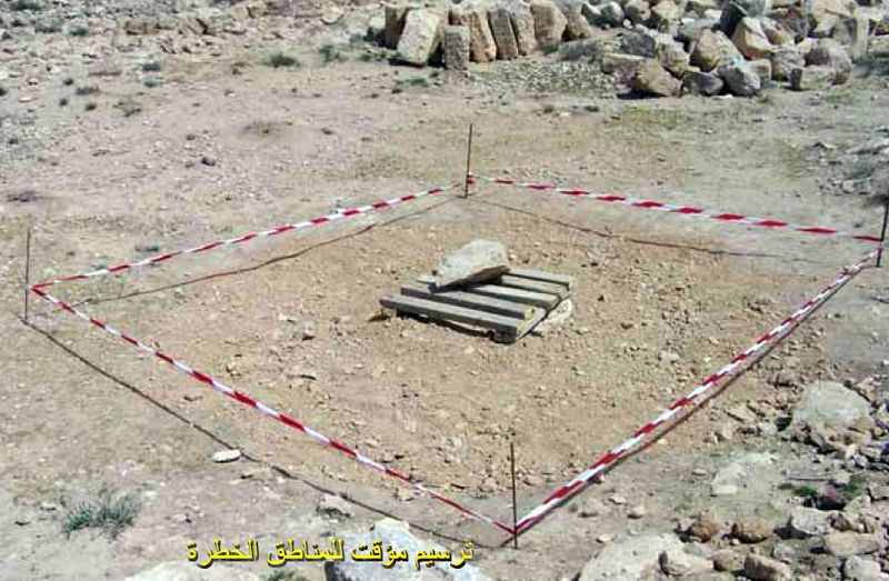 ملف:Dangerous1.jpg
