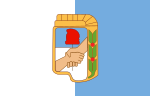 Flag of Justicialist Party 2.svg