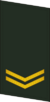 PLAGF-Collar-0702-PFC.png