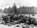 Cracker cowboys: In wait for an enemy