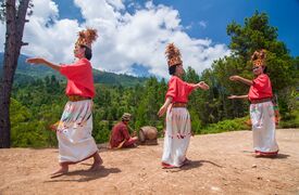Pagellu dance at a funeral in Tana Toraja people