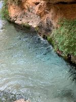 بريصا3.jpg