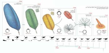 SCI2003b19N10 H05 002623.jpg