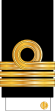 13-IRIN-LT-(Sleeve).svg