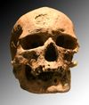 Cro-Magnon 1