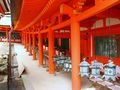 Lanterns at Kasuga Shrine