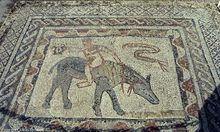 Mosaic-acrobat