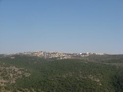 Yanoach4.JPG