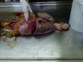 Human abdomen and thorax