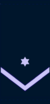 IDF-NCO-IAF-3.png