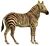 The natural history of horses (Plate XXI) cropped.jpg