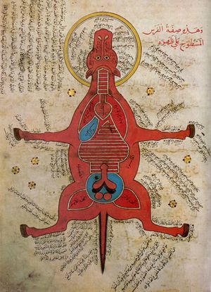15th century egyptian anatomy of horse.jpg