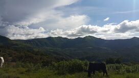 The Mambilla Plateau, Nigeria 01.jpg