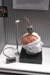 BrainGate.jpg