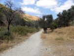Old road from Rosh Pina to Safed, Upper Galilee, Israel