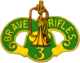 USA - 3rd Calvary DUI.png