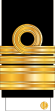19-IRIN-RADM-(Sleeve).svg
