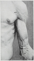 Braus 1921 169.png