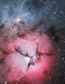 The Trifid Nebula is a rare combination of three nebulae types that reveal the fury of freshly formed stars and point to more star birth in the future. Credit: ESO