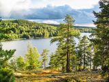Lake Päijänne from Hill Satasarvinen, Jyväskylä