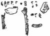 Ardipithecus kadabba fossils.jpg